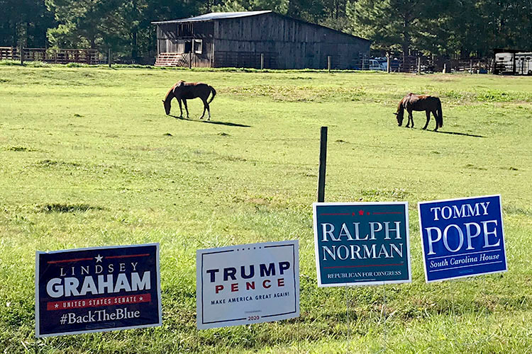 2020 Rural York County SC GOP campaign signs